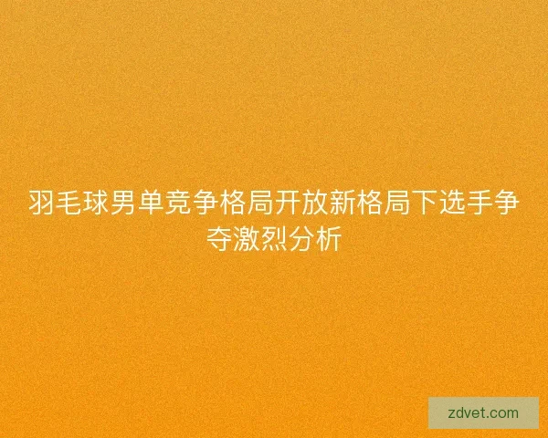 羽毛球男单竞争格局开放新格局下选手争夺激烈分析